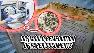DIY Mould Remediation of Paper Documents