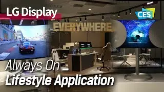Watch! Play! Work! OLED Display in our daily lives