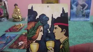 Scorpio January 2017 Love Tarot Reading: The Cat That Got the Cream