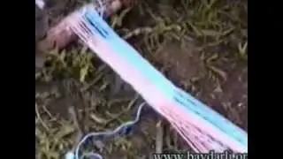 baydarlı
