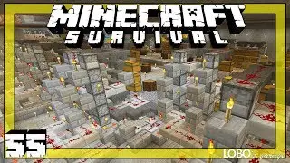 ⛏ Minecraft Survival 55 | MULTI - ITEM SORTING MEGA STORAGE SYSTEM (PT 3) and MOB HEADS ! | Luna SSP