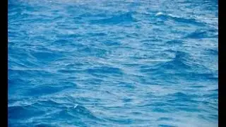 why ocean water looks  blue ?