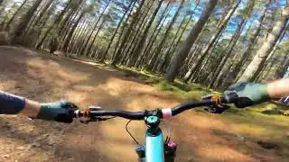 Glenlivet MTB Trails -  Bazzas Berms on a beautiful winters day November 2024