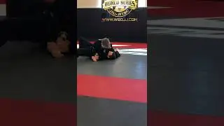 World Series of jiujitsu highlights