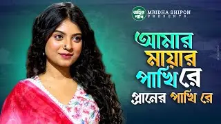 আমার মায়ার পাখি রে | Amar Mayar Pakhi Re | Foridul Islam | Tiktok Viral Song 20256 | Ocin Pakhi 