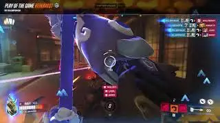 [OW2] Average Rein Potg