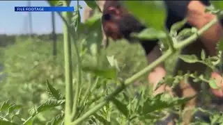 ND Department of Agriculture hosting producer training sessions