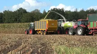 Mais hakselen met Claas Jaguar 940 en Case IH trekkers door loonbedrijf H van Haarst (2022)