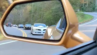 Trans Am Car Show