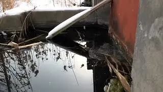 &laquo;Живем словно на болоте&raquo;: в Волгограде топит дома из-за строительства дороги к Родниковой долине