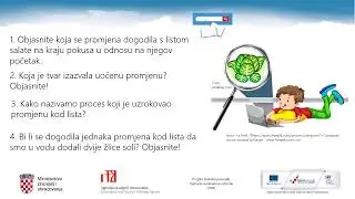 Biologija, 3.r. SŠ - Stanična membrana i prijenos tvari