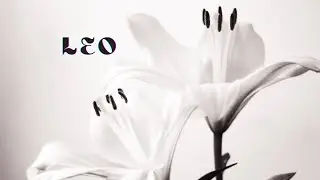 LEO❤️Intense Reading -This Person Knows You Are The One But They Blew Their Chance & Emotional Mess