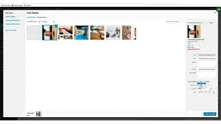 Magic Page Plugin - Building a PBN Site