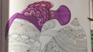 Millie Marotta Animal Kingdom Fish Speed Colouring Part 2  -  Derwent ProColour Pencils!
