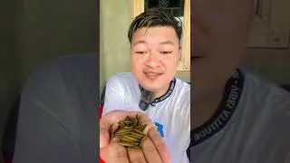 Tanaman aneh dan seram 😱😱