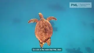 Why the Ocean Matters