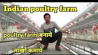 poultry farm / poultry farm in india / poultry farming business