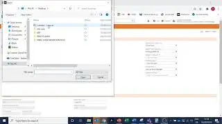 1. Netsuite - Opportunity Set Up
