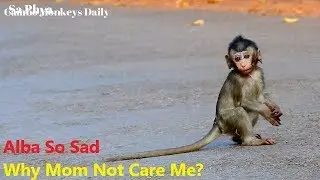 Alba So Sad! Why Mom Anna Leave Baby Alba Alone On The Road?