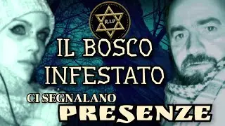 Il Bosco infestato: ci segnalano presenze