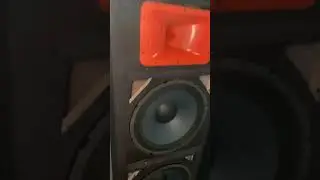 shahin audio #delhi #speakershopping #bassamplifier #oldlajpatraimarket #dj #cabinetpaint