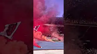 USM Alger 🇩🇿 &ndash; This is what real support looks like. #pyro #awaydays #ultras #usmalger