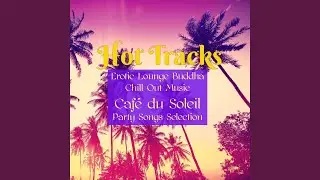 Seduction - Chillout Relaxation Bar Grooves