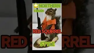 Northern Strain Rusty the Red Squirrel Style ep.1