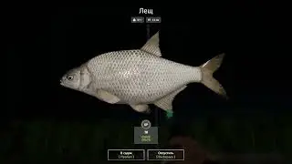 Russian Fishing 4