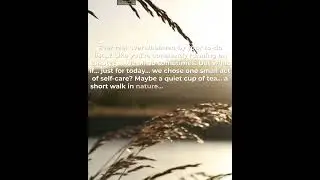 Find Your Calm: Daily Wellness Rituals #shorts #shortvideo