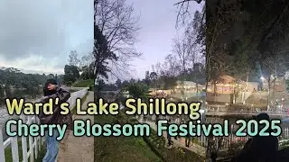 Ward's Lake Shillong Cherry Blossom Festival 2025