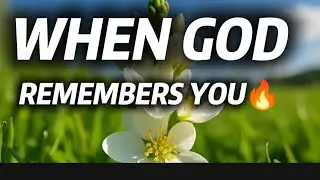 This Is What Happens When God Remembers You: Spiritual Reflection 