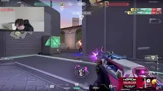 Sen johnqtcs insane gekko 4k Short Clip