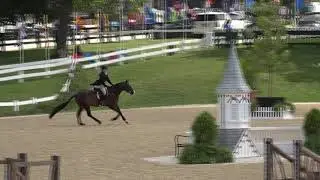 Video of PARTY FAVOR ridden by CHARLOTTE PARKES from ShowNet!