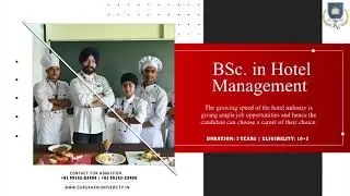 Hospitality management studies | BrandBUDDY