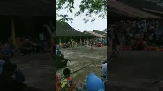 Reog serem