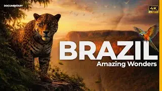 Untamed Brazil: Land of Wonders | 4K Cinematic Documentary