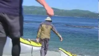 ORCA CAMP