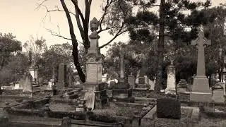 Graveyard Dust Harvest