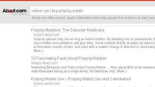 How-To Buy A Praying Mantis