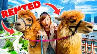 I Walked Through Tokyo With TWO Alpacas