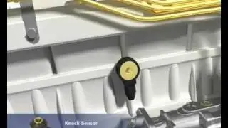 DieselGas duel fuel system