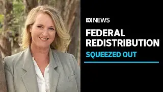 Kylea Tink's seat of North Sydney to be scrapped in proposed electorate shake-up | ABC News