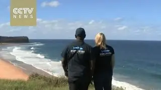 South African group promotes alternative shark mitigation plan in Australia
