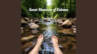 Wildcat Creek Memories