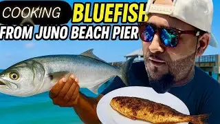 Catching & Cooking Bluefish from Juno Beach Pier! (INSANE FLAVOR)