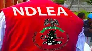NDLEA PROPOSES MANDATORY DRUG TEST FOR DRIVER'S LICENCE APPLICANTS. | TREND WATCH