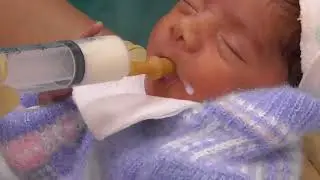 Syringe feeding