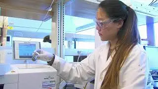Iowa State Auto Pyrolysis Stover/ Waste Wood to Bio Fuel Technology Licensed to Easy Energy