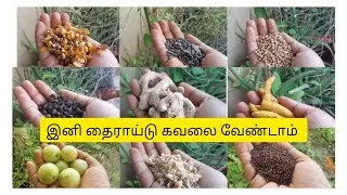 இனி தைராய்டு கவலை வேண்டாம் ...thyroid free magic powder ரெடி #viralvideo #food #cooking #shortvideo